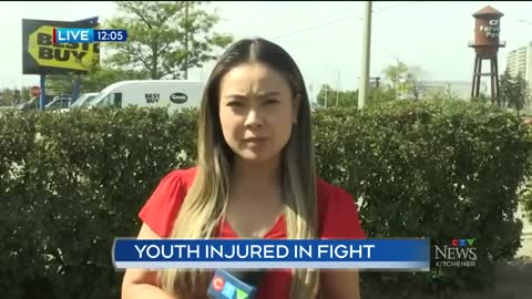 20 teens involved in massive brawl in Kitchener, Ontario: police