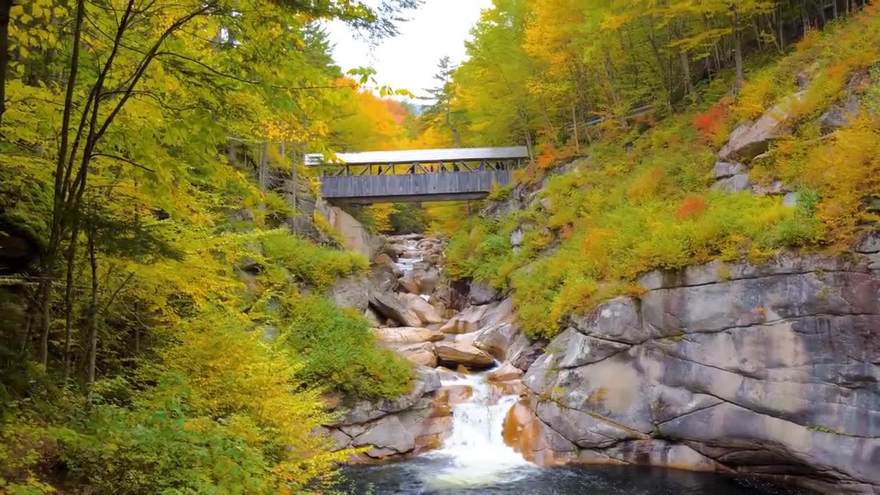 Enchanting Autumn Forests with Beautiful Piano Music