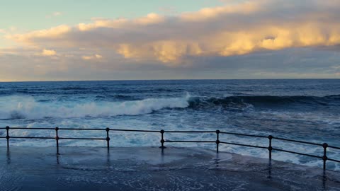 Ocean