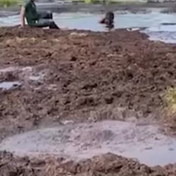 BOYS FAILS #shorts #99 #boys #failscompilation #funnyclip #failcompilation #fails #comedy #fun