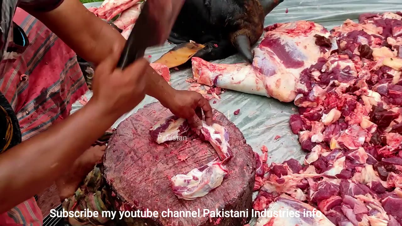 Advanced Precision Cutting Cow Ribs Efficiently