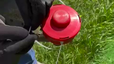 Lifehack How to handle the lawn