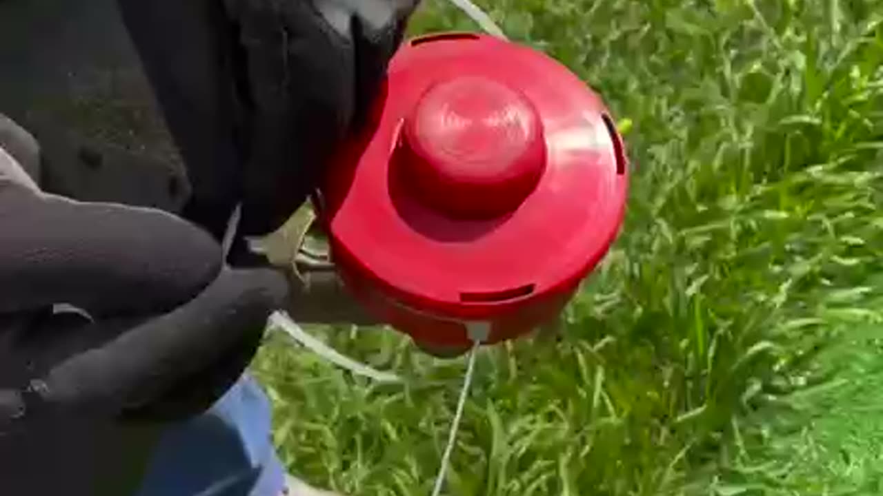 Lifehack How to handle the lawn