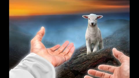 La benedizione della compagnia!