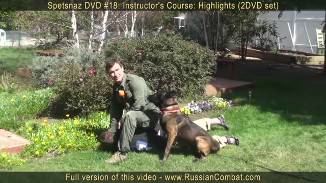 Dog Training