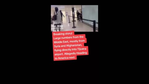 Immigration invasion/Govt operation…🚨🧐