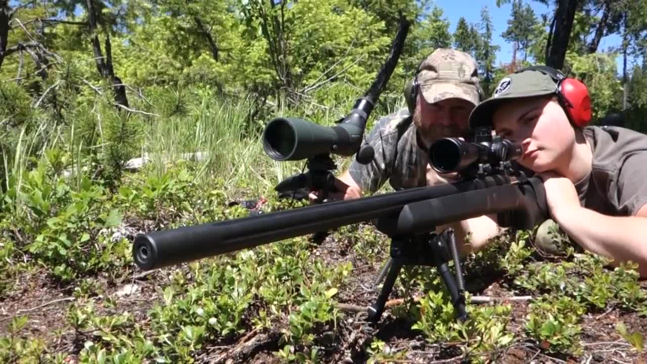 Vortex Viper HS T Field Test