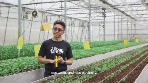 Meeting Singapore's '30 by 30' Food Goals - Strengthening our Food Security