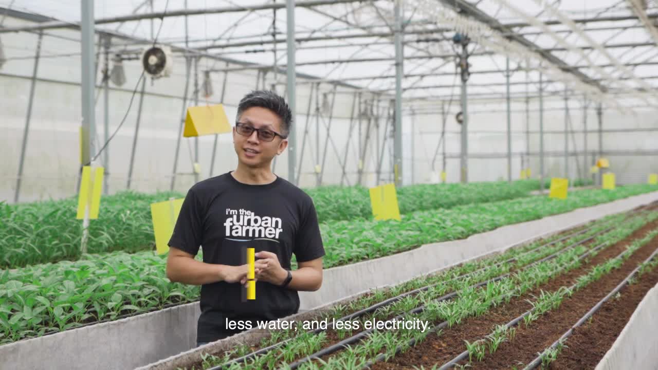 Meeting Singapore's '30 by 30' Food Goals - Strengthening our Food Security