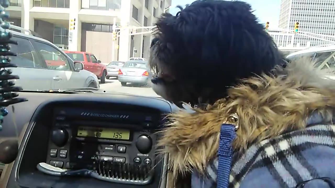 #29. Part 3! Downtown Driving