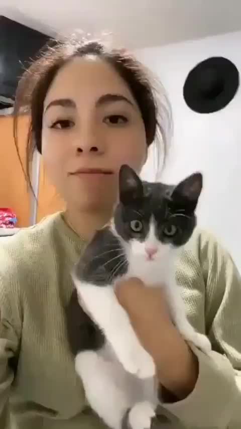 Funny cats 🐈 😄 Type of tub