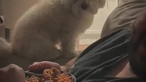 This is the video you looking for 🤣🤣💭