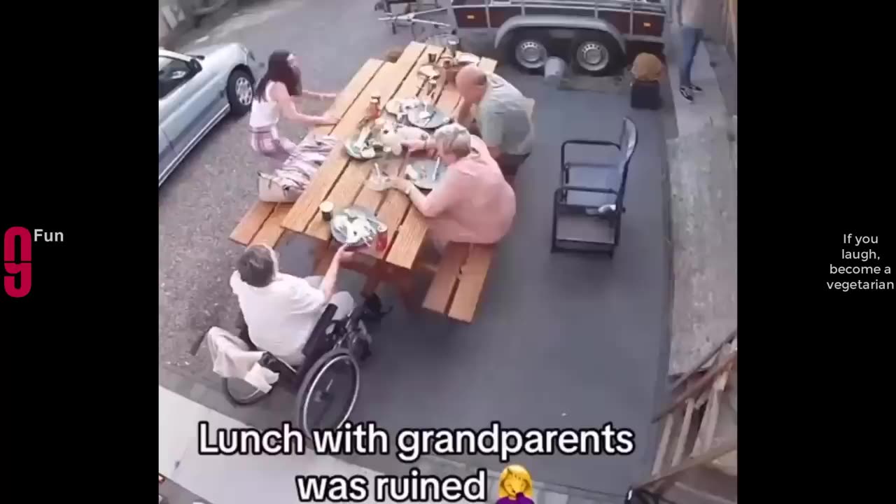 Try Not To Laugh Funny Videos