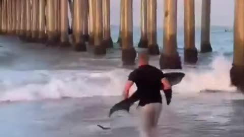 Man save shark life