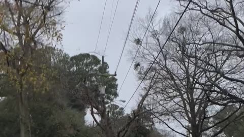 Transformer Blows Up in Norfolk Neighborhood