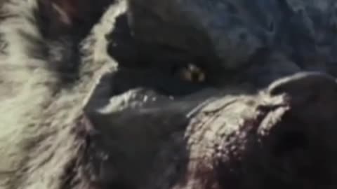 Movie Monsters