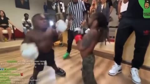 Short People have a Boxing Match