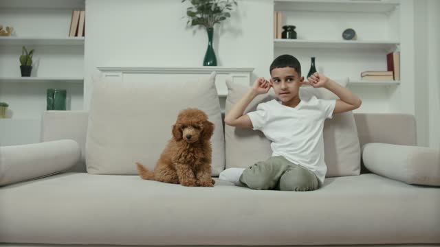 kid playing with dog