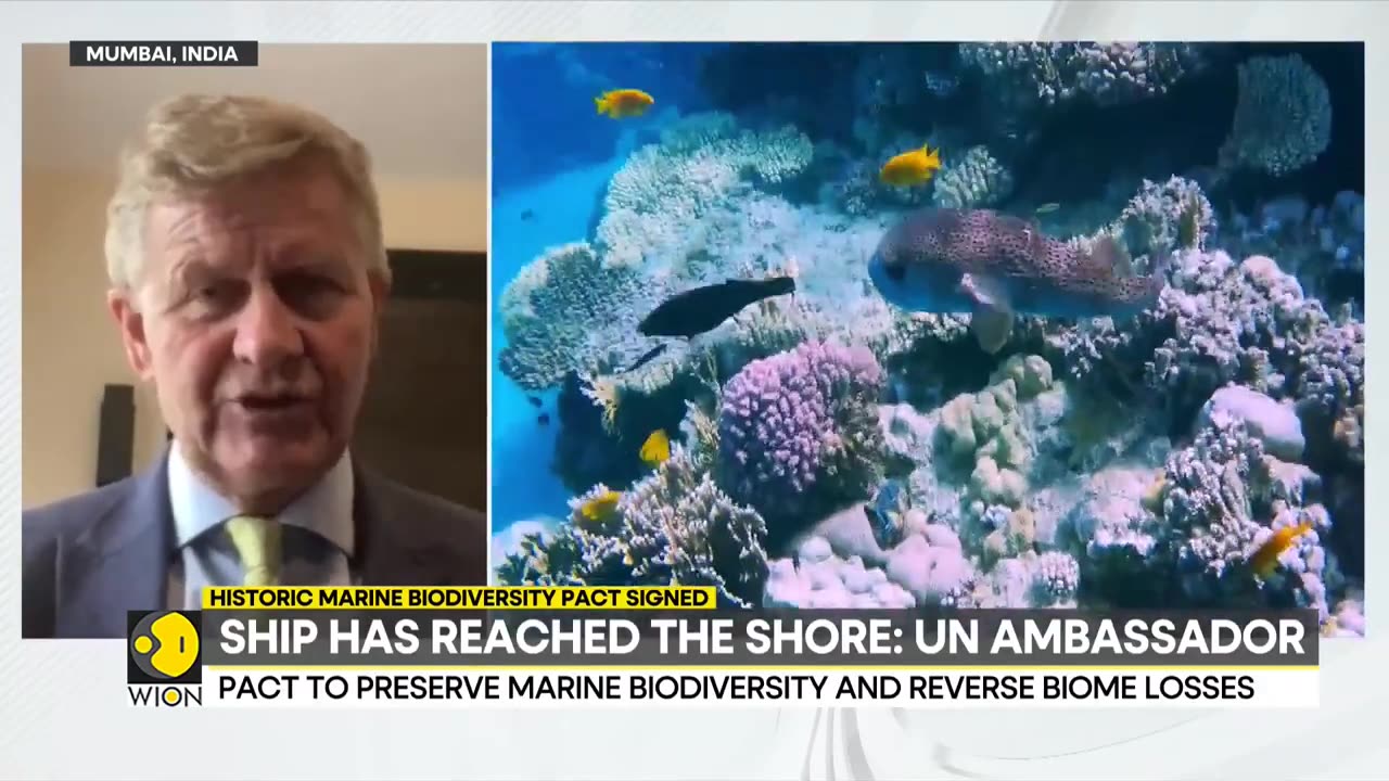 Historic marine biodiversity pact signed to preserve and reverse biome losses - Latest News - WION