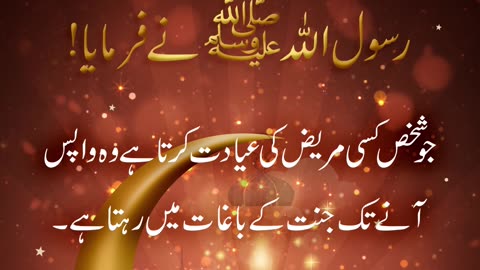 Bemar Pursi ki Fazeelat | Hadees in Urdu | Hadees Sharif | Hadees | Best Hadees | #Short #viralvideo