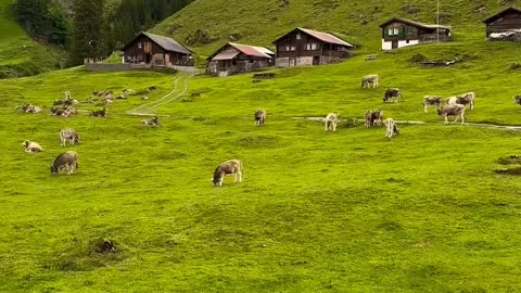 beautiful view of naran