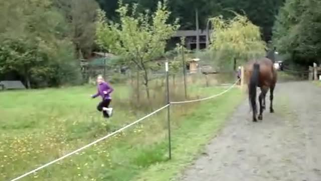 Horse farted and scared itself and child