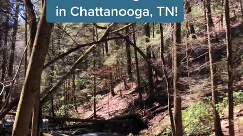 In case you didn't know...This account,"Experience Chattanooga"