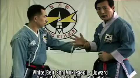 Authentic Hapkido (Jung Ki Kwan)