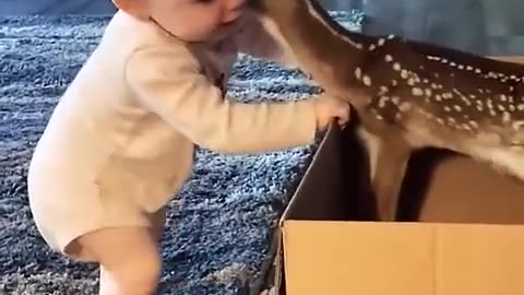 The little kid is petting the baby deer