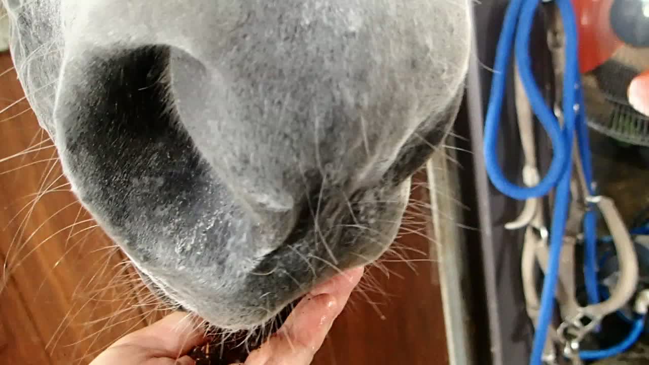 Pooh welcomes our visit