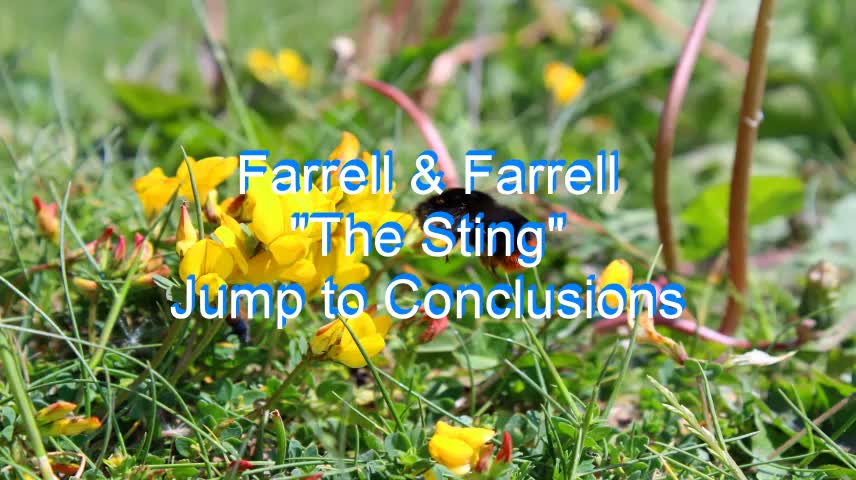 Farrell & Farrell - The Sting #97