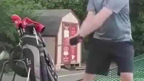 Funny moves make your day!