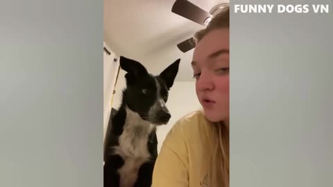 Funny Dog