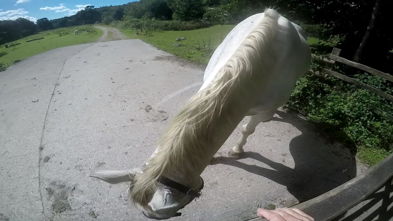 Cycle Ride Clearbrook to Charleston Tor Dartmoor Devon UK Part 2.