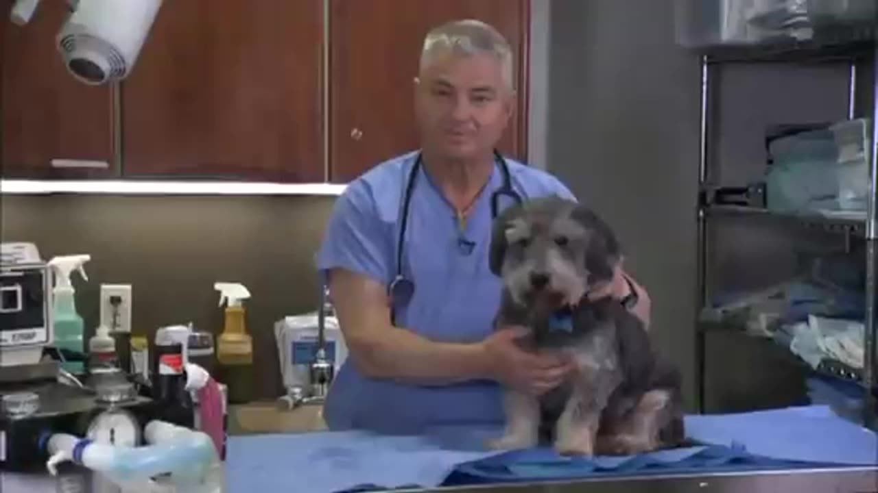 Dr Tim Crowe, DVM, explains why vets and pets love Kangen water