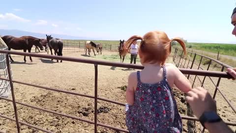 Adley RIDES SPIRIT the Horse!