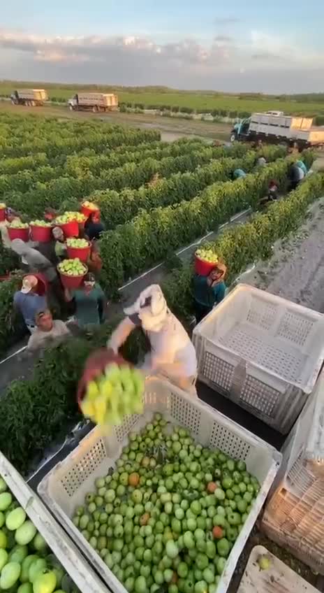 The debugged mechanism of work