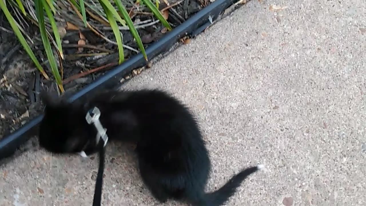 Outside