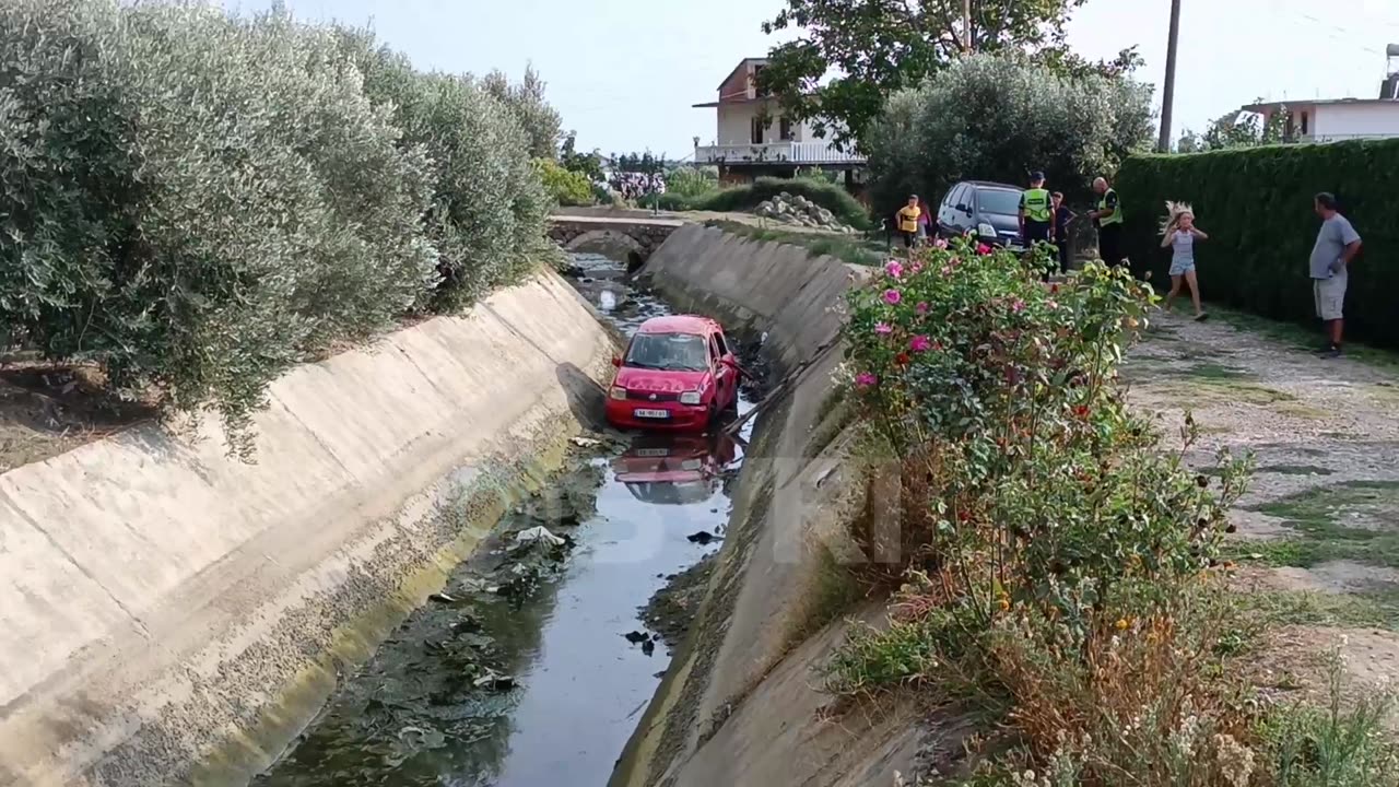 Aksidenti ne Lushnje, Panda bie ne kanal