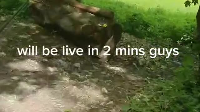quick trout session guys jump in and lets crank some fish