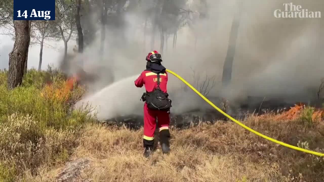 Wildfires tear through forests in Spain's south-eastern Valencia region