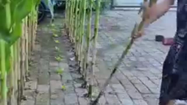 Petani yg punya kemampuan dan skil dewa part 1