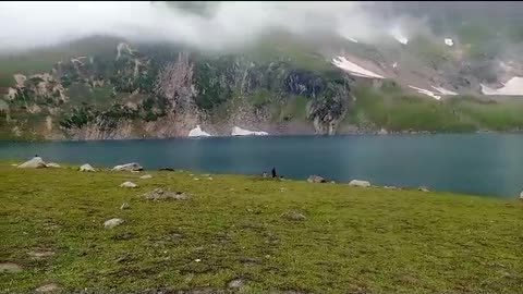 Kashmir