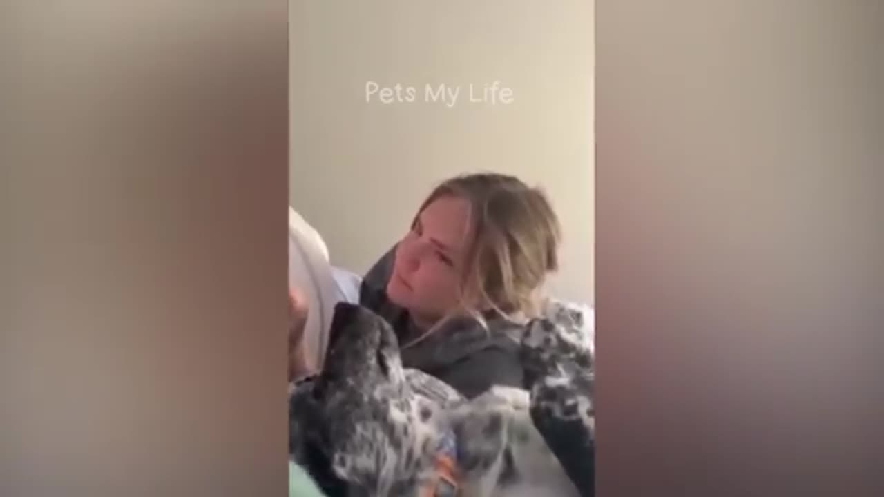 New funny video of my pet