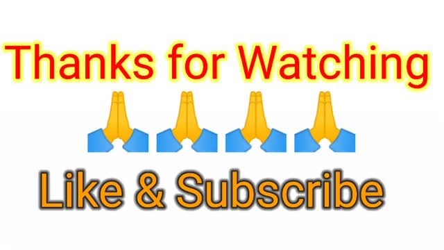 Best Funny Cat Videos