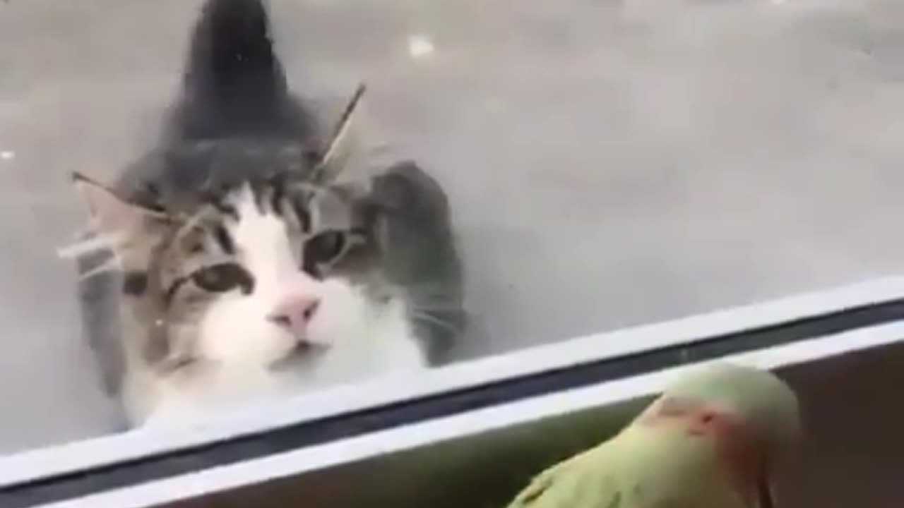 Move your head. 😂