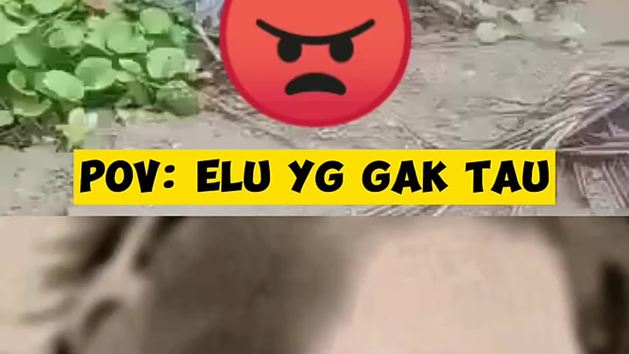 POV ELU YG GAK UPDATE BERITA #shorts