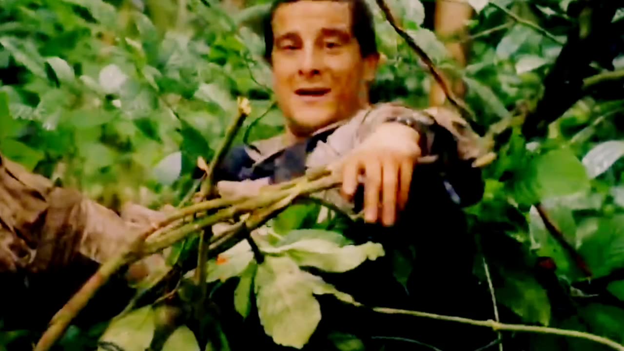 Bear Grylls in Borneo # Jungle | Man vs Wild (4/6)