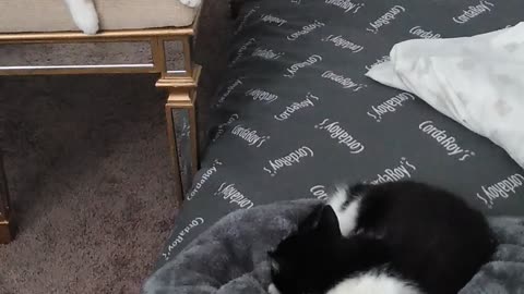 Grey pillow