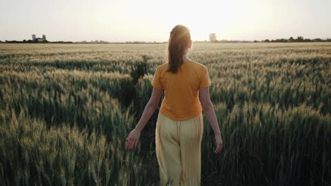 Wheat field